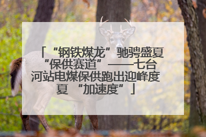 “钢铁煤龙”驰骋盛夏 “保供赛道”——七台河站电煤保供跑出迎峰度夏 “加速度”