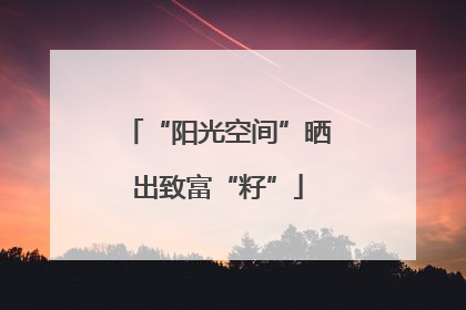 “阳光空间”晒出致富“籽”