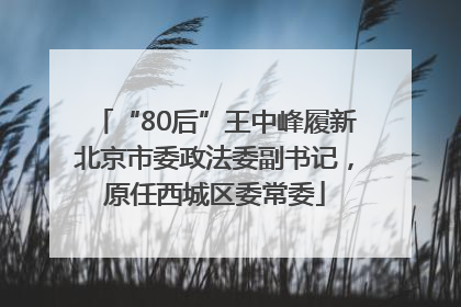 “80后”王中峰履新北京市委政法委副书记，原任西城区委常委