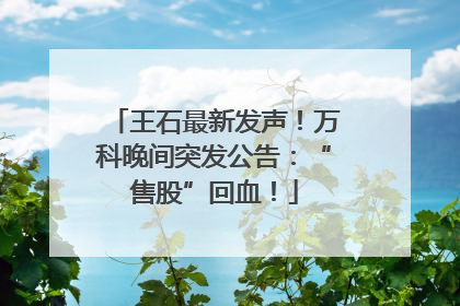 王石最新发声！万科晚间突发公告：“售股”回血！