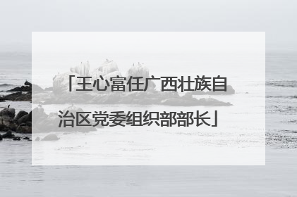 王心富任广西壮族自治区党委组织部部长