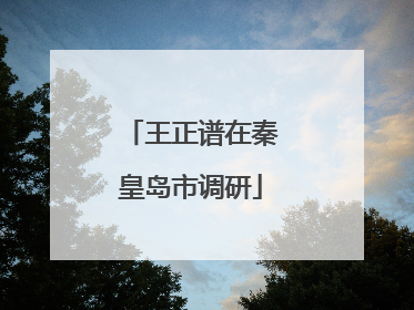 王正谱在秦皇岛市调研