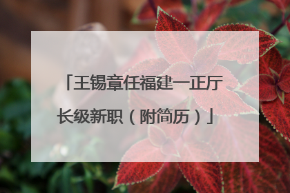 王锡章任福建一正厅长级新职（附简历）