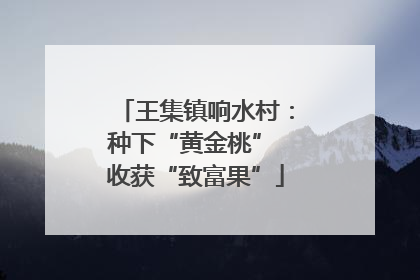 王集镇响水村：种下“黄金桃” 收获“致富果”