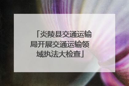 炎陵县交通运输局开展交通运输领域执法大检查