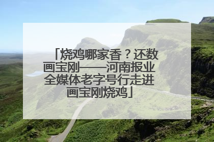 烧鸡哪家香？还数画宝刚——河南报业全媒体老字号行走进画宝刚烧鸡
