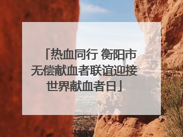 热血同行 衡阳市无偿献血者联谊迎接世界献血者日