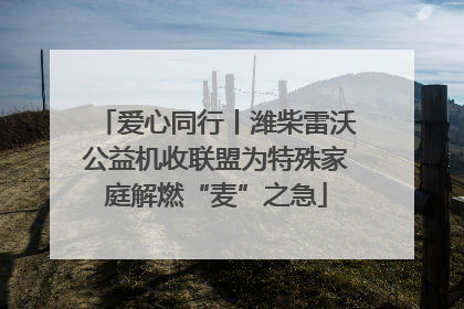 爱心同行丨潍柴雷沃公益机收联盟为特殊家庭解燃“麦”之急