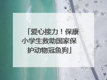 爱心接力！保康小学生救助国家保护动物冠鱼狗