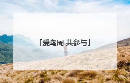 爱鸟周 共参与