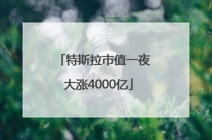 特斯拉市值一夜大涨4000亿