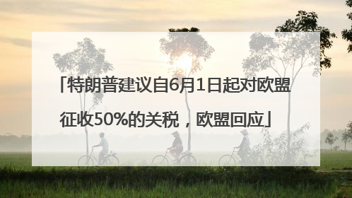特朗普建议自6月1日起对欧盟征收50%的关税，欧盟回应