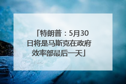 特朗普：5月30日将是马斯克在政府效率部最后一天