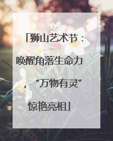 狮山艺术节：唤醒角落生命力，“万物有灵”惊艳亮相