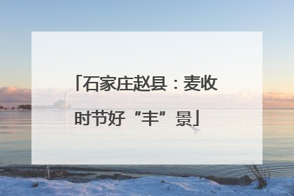 石家庄赵县：麦收时节好“丰”景