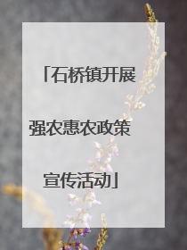 石桥镇开展强农惠农政策宣传活动