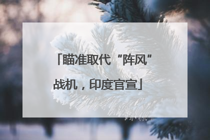 瞄准取代“阵风”战机，印度官宣