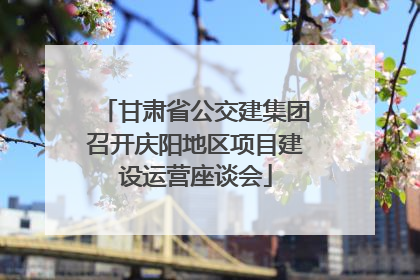 甘肃省公交建集团召开庆阳地区项目建设运营座谈会
