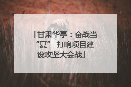 甘肃华亭：奋战当“夏” 打响项目建设攻坚大会战
