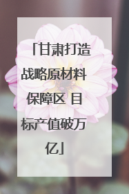 甘肃打造战略原材料保障区 目标产值破万亿