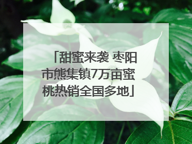 甜蜜来袭 枣阳市熊集镇7万亩蜜桃热销全国多地