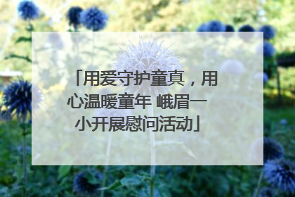 用爱守护童真，用心温暖童年 峨眉一小开展慰问活动