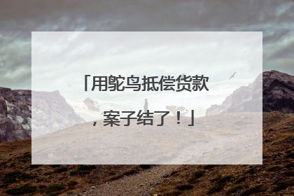 用鸵鸟抵偿货款，案子结了！