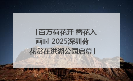 百万荷花开 簪花入画时 2025深圳荷花赏在洪湖公园启幕