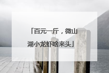 百元一斤，微山湖小龙虾啥来头