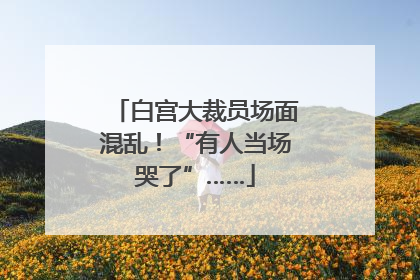 白宫大裁员场面混乱！“有人当场哭了”……