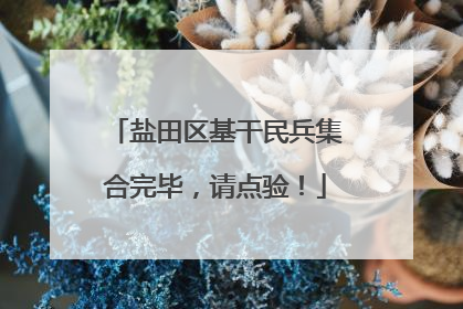 盐田区基干民兵集合完毕，请点验！