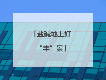 盐碱地上好“丰”景