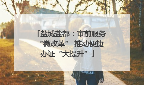 盐城盐都：审前服务“微改革” 推动便捷办证“大提升”