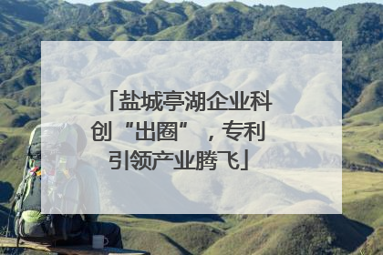 盐城亭湖企业科创“出圈”，专利引领产业腾飞