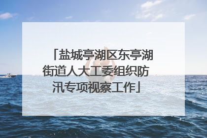 盐城亭湖区东亭湖街道人大工委组织防汛专项视察工作