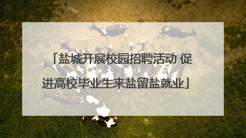 盐城开展校园招聘活动 促进高校毕业生来盐留盐就业