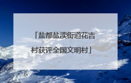 盐都盐渎街道花吉村获评全国文明村