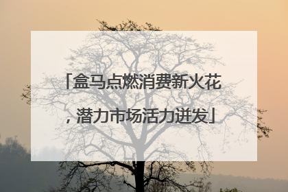 盒马点燃消费新火花，潜力市场活力迸发