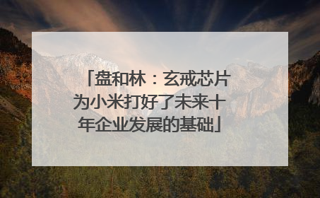 盘和林：玄戒芯片为小米打好了未来十年企业发展的基础