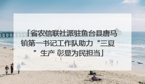 省农信联社派驻鱼台县唐马镇第一书记工作队助力“三夏”生产 彰显为民担当