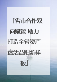 省市合作双向赋能 助力打造全省资产盘活益阳新样板