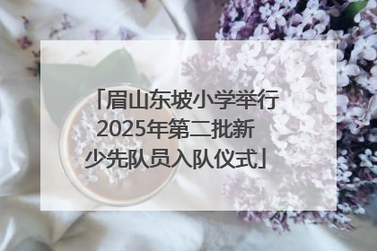 眉山东坡小学举行2025年第二批新少先队员入队仪式
