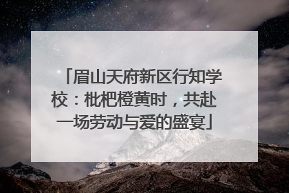 眉山天府新区行知学校：枇杷橙黄时，共赴一场劳动与爱的盛宴