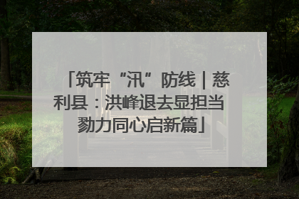 筑牢“汛”防线｜慈利县：洪峰退去显担当 勠力同心启新篇