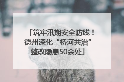 筑牢汛期安全防线！德州深化“桥河共治”整改隐患50余处