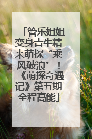 管乐姐姐变身青牛精来萌探“乘风破浪”！《萌探奇遇记》第五期全程高能