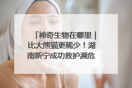 神奇生物在哪里｜比大熊猫更稀少！湖南新宁成功救护濒危鸟类海南鳽
