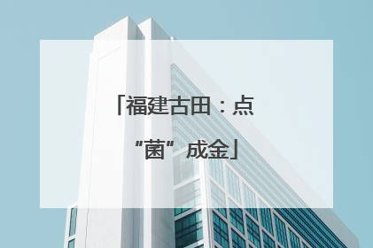 福建古田：点“菌”成金