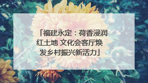 福建永定：荷香浸润红土地 文化会客厅焕发乡村振兴新活力