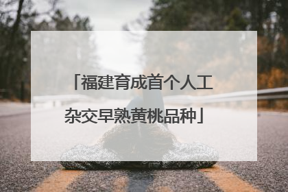 福建育成首个人工杂交早熟黄桃品种